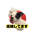 あぃーんのアンちゃん（個別スタンプ：27）