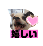 あぃーんのアンちゃん（個別スタンプ：29）