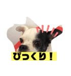 あぃーんのアンちゃん（個別スタンプ：32）