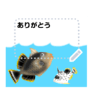 海の魚3（個別スタンプ：4）