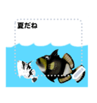 海の魚3（個別スタンプ：6）