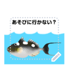 海の魚3（個別スタンプ：9）