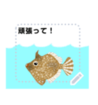 海の魚3（個別スタンプ：13）