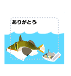 海の魚3（個別スタンプ：15）