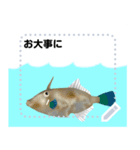 海の魚3（個別スタンプ：16）