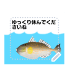 海の魚3（個別スタンプ：17）