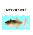 海の魚3（個別スタンプ：19）