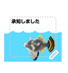 海の魚3（個別スタンプ：20）