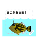 海の魚3（個別スタンプ：21）