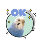 プーのLINEスタンプ（個別スタンプ：2）
