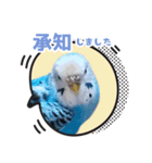プーのLINEスタンプ（個別スタンプ：3）
