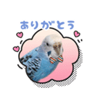 プーのLINEスタンプ（個別スタンプ：4）
