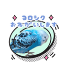プーのLINEスタンプ（個別スタンプ：5）