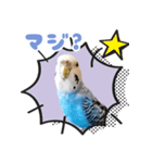 プーのLINEスタンプ（個別スタンプ：6）