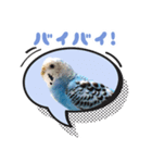 プーのLINEスタンプ（個別スタンプ：8）