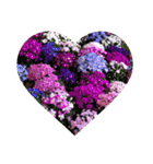 flower version（個別スタンプ：2）