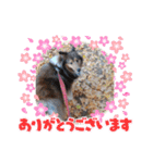 シェルティアシュのスタンプ2（個別スタンプ：15）