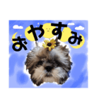 *＊Tino＊*（個別スタンプ：4）