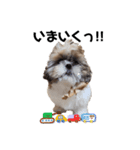 *＊Tino＊*（個別スタンプ：6）
