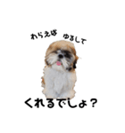 *＊Tino＊*（個別スタンプ：7）