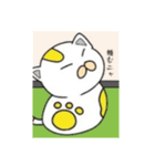 ただしのイラストⅡ（個別スタンプ：11）