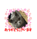 ダイナ君（個別スタンプ：3）