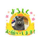 ダイナ君（個別スタンプ：5）