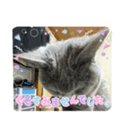 ダイナ君（個別スタンプ：7）