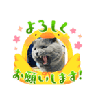 ダイナ君（個別スタンプ：8）