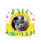 ダイナ君（個別スタンプ：10）