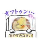 おかめインコキロとマザー（個別スタンプ：40）