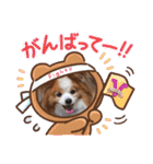 ぱぴぱぴパピヨ112（個別スタンプ：15）