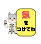 母親.ママ①→子供.小学生♡今どこ？大文字（個別スタンプ：6）