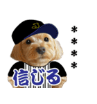 カスタム！野球実況犬のマルちゃん(実写）（個別スタンプ：15）