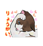 あざとくてごめん♡なねこにゃんず（個別スタンプ：1）