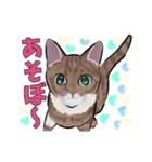 あざとくてごめん♡なねこにゃんず（個別スタンプ：9）