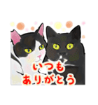 あざとくてごめん♡なねこにゃんず（個別スタンプ：15）