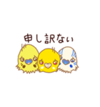 セキセイインコのプティちゃんたち♡2023_1（個別スタンプ：10）