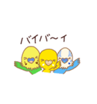 セキセイインコのプティちゃんたち♡2023_1（個別スタンプ：16）