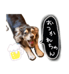 Toyoda's Dog（個別スタンプ：7）