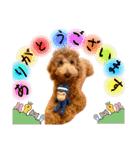 Toyoda's Dog（個別スタンプ：8）