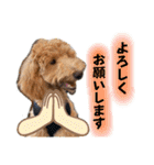 Toyoda's Dog（個別スタンプ：25）