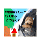 Toyoda's Dog（個別スタンプ：31）