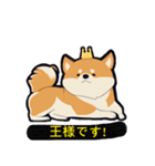 柴犬 トラ（個別スタンプ：6）