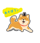 柴犬 トラ（個別スタンプ：11）