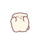 フワフワプードルれお（個別スタンプ：1）