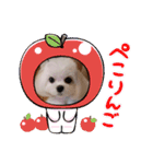 可愛い胡音ちゃん（個別スタンプ：11）