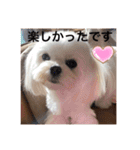 可愛い胡音ちゃん（個別スタンプ：12）