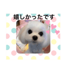 可愛い胡音ちゃん（個別スタンプ：13）