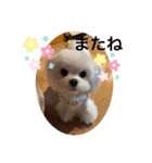 可愛い胡音ちゃん（個別スタンプ：15）
